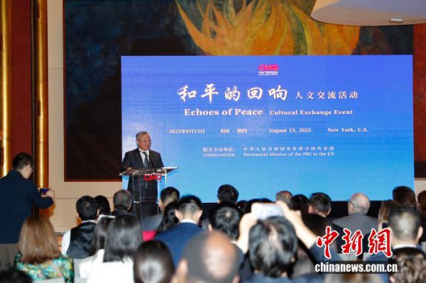 中国常驻蚁集国代表号令以诱骗破解安全窘境